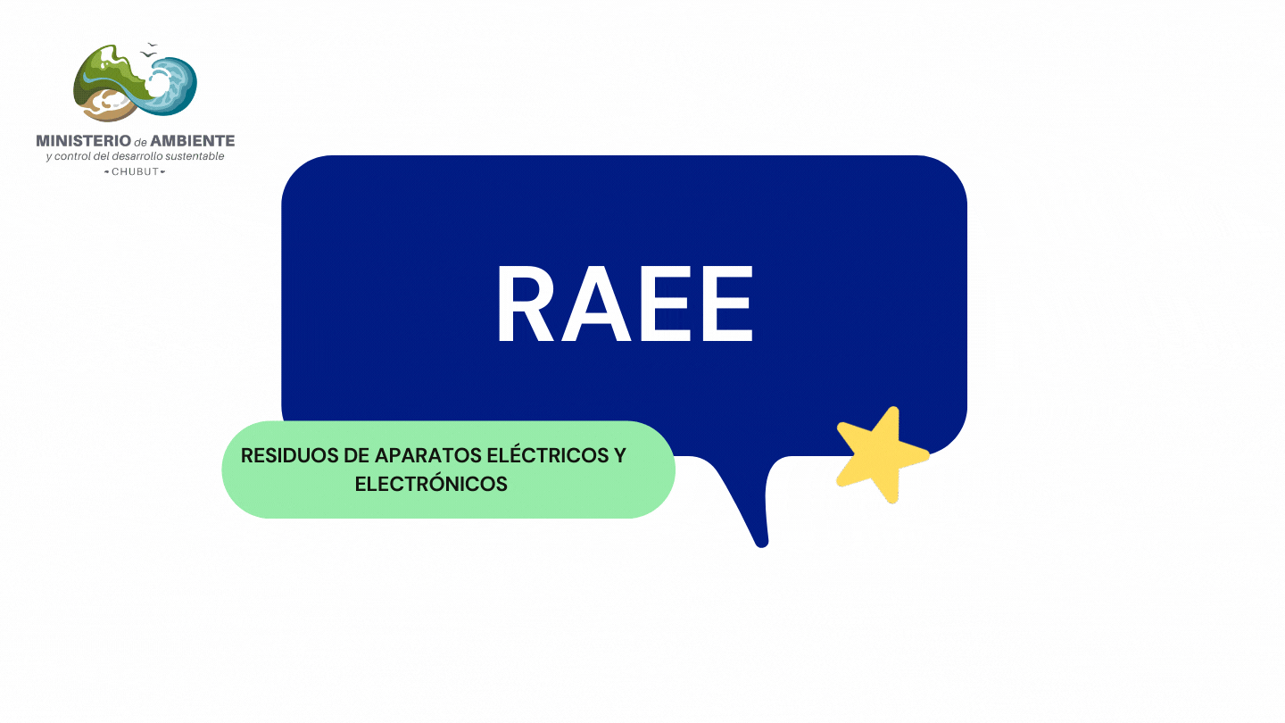 RAEE-2