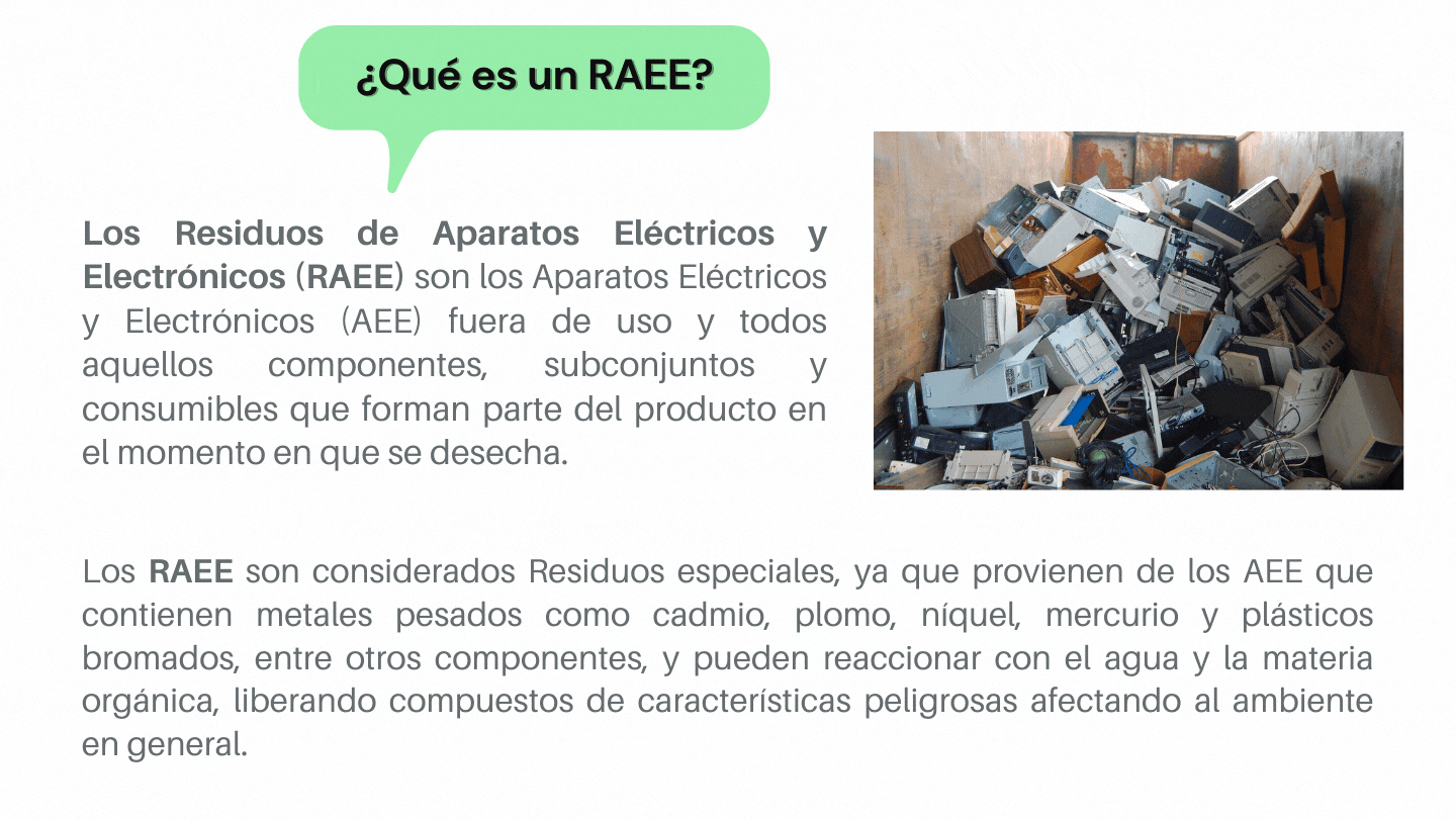RAEE-3