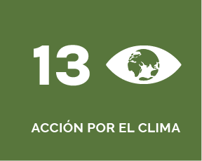 banners-ODS-13