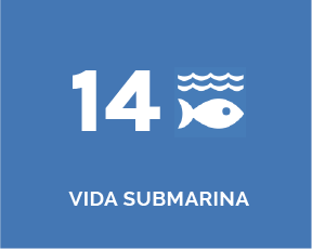 banners-ODS-14