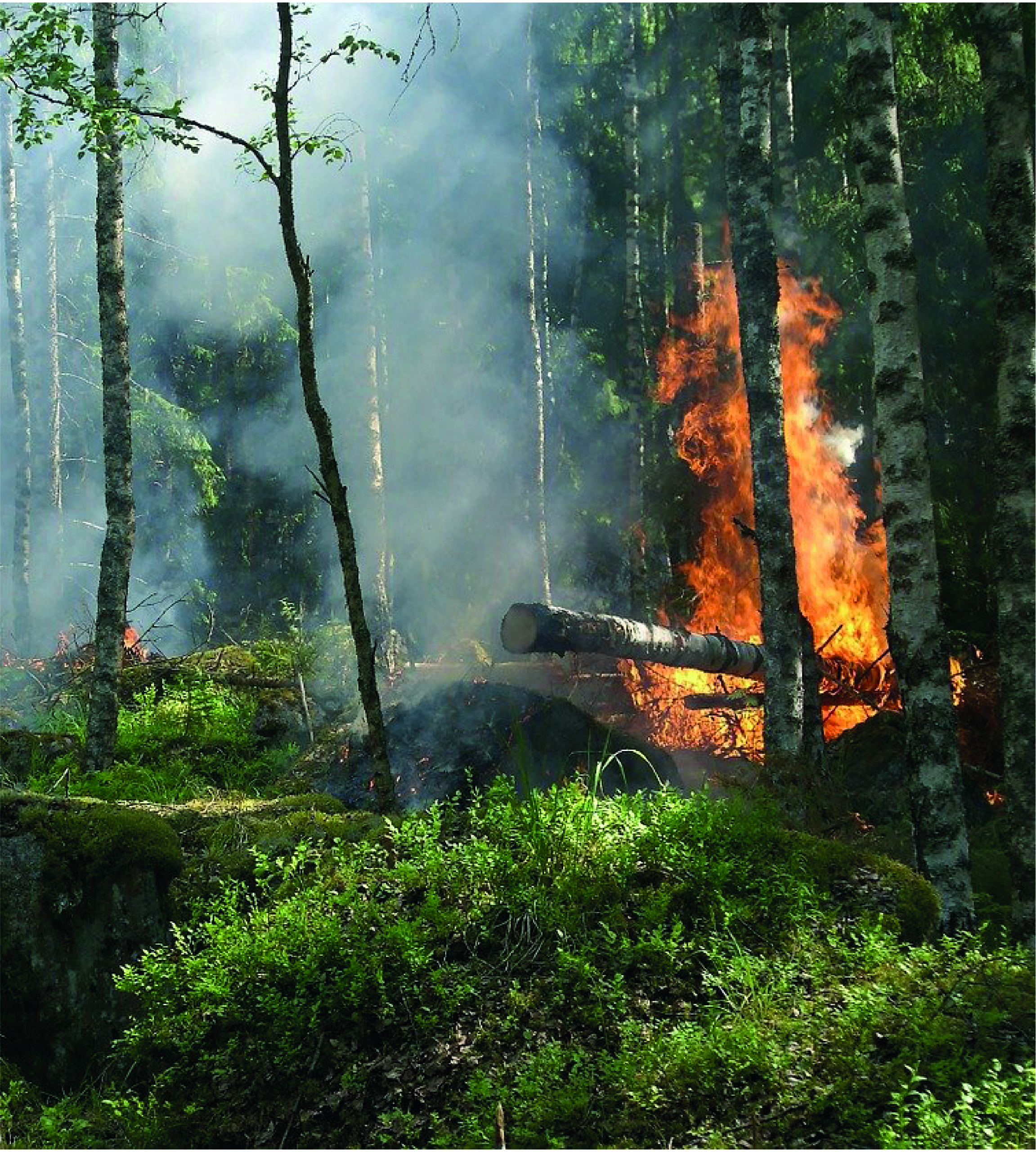 incendio1