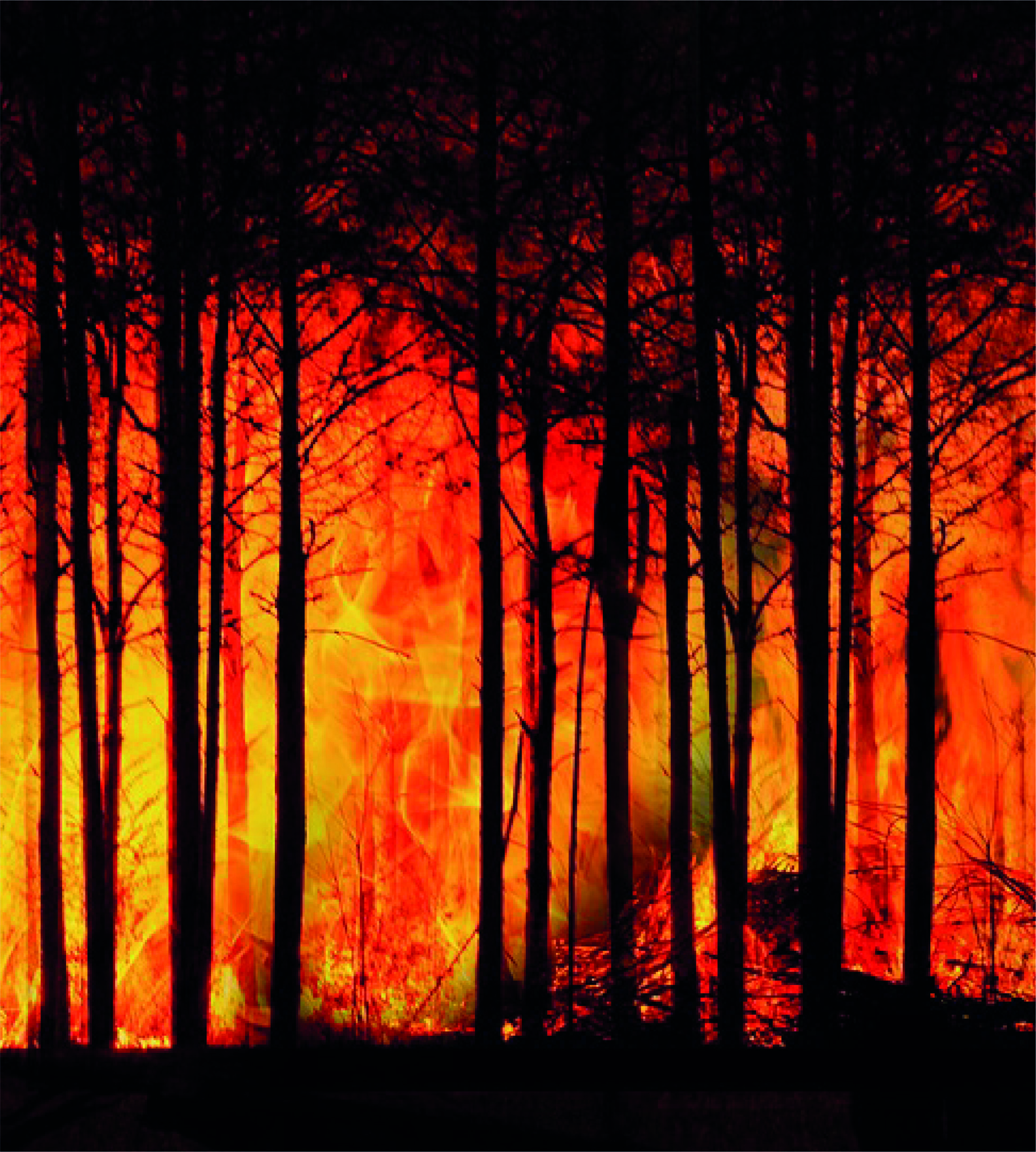incendio2