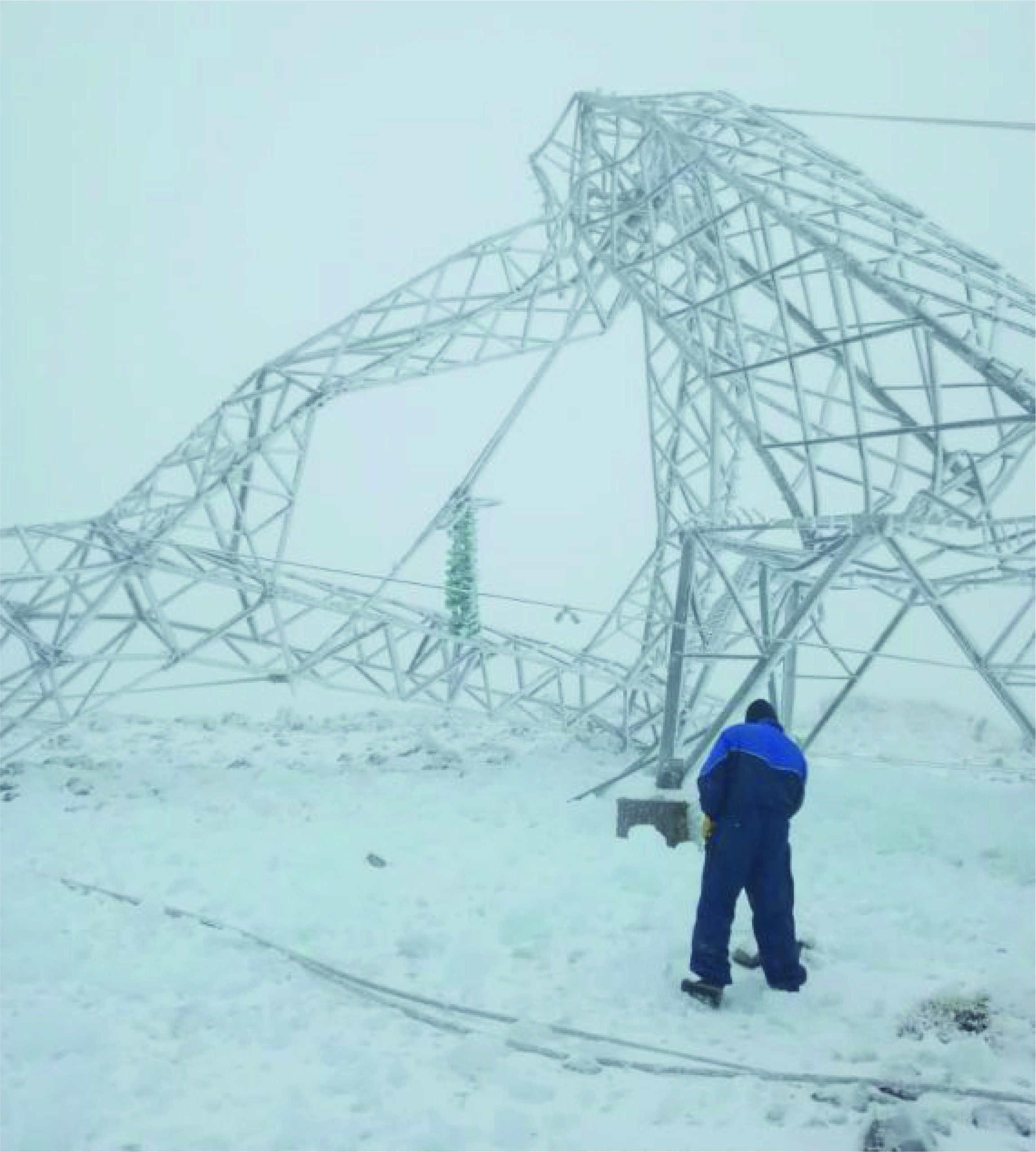 nieve