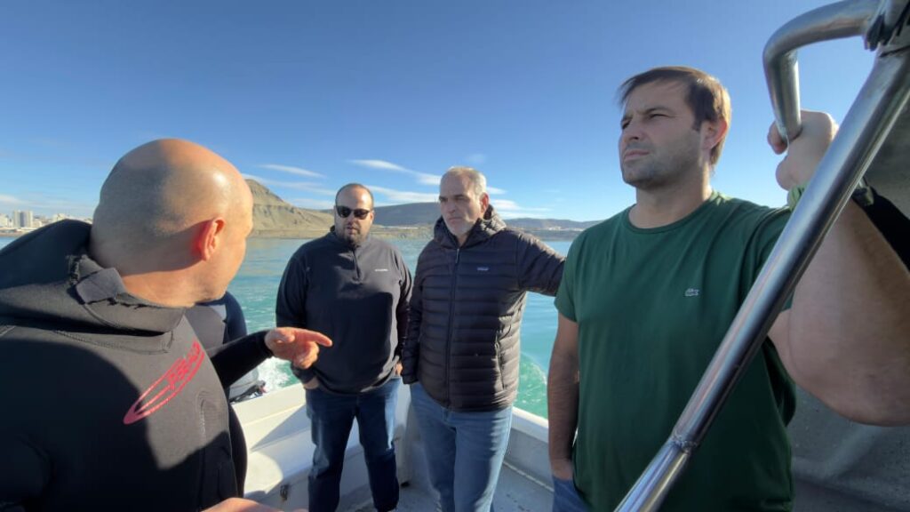 Chubut impulsa nuevas experiencias de turismo de naturaleza con fauna marina en Comodoro Rivadavia